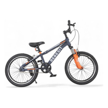 Bicicleta Montaña Rodado 20 Frenos V-brake