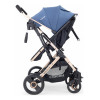 Coche Vox Gold De Paseo Asiento 2 En 1