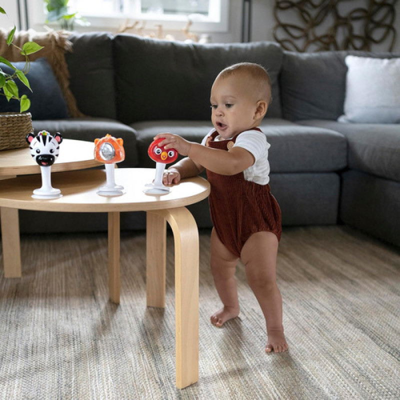 Set De Sonajeros Con Ventosa Baby Einstein Multicolor Animales