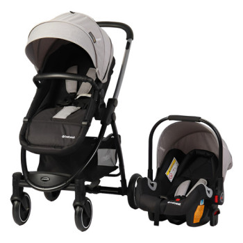 Coche Travel System Moisés Alfa Bebesit