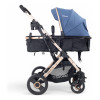 Coche Vox Gold De Paseo Asiento 2 En 1