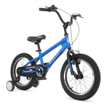 Bicicleta Niño Rod 16 Montaña Bocina Y Ruedas Auxiliares