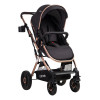 Coche Vox Gold, Ruedas Todo Terreno, Asiento 2 En 1 Color Negro Chasis Gold