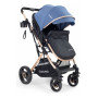 Coche Vox Gold De Paseo Asiento 2 En 1