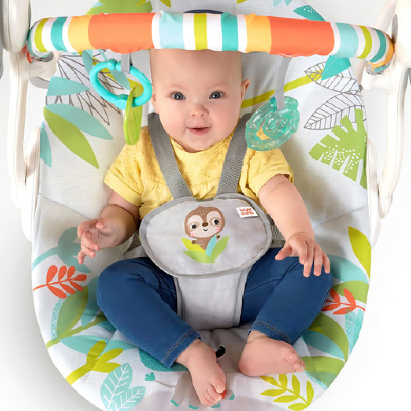 Silla Mecedora Para Bebé Bright Starts 12426 Perezoso Gris