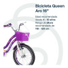 Bicicleta Niña Rod 16 Bocina, Ruedas Auxiliares Y Canasto