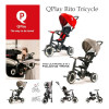 Triciclo Rito Plegable Qplay By Bebesit Color Gris