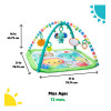 Gimnasio Plegable Con Actividades Para Bebés Bright Starts